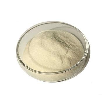 Quercetin-3-O-sophoroside CAS 18609-17-1
