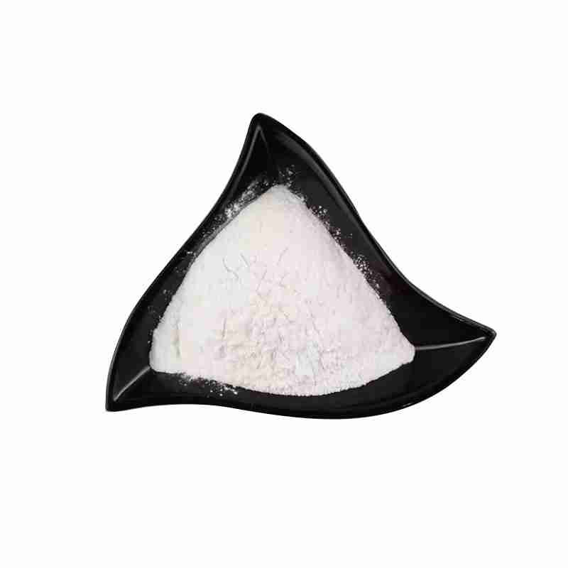 Lidocaine Hydrochloride CAS# 73-78-9