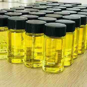 Carrot Seed Oil CAS 8015-88-1