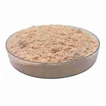 Psyllium CAS 8063-16-9