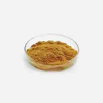 Chitosan Oligosaccharide cas 148411-57-8